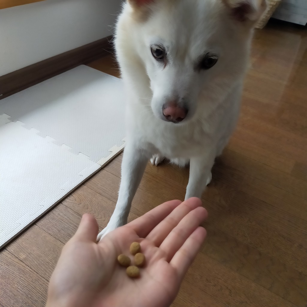 ユーザー写真