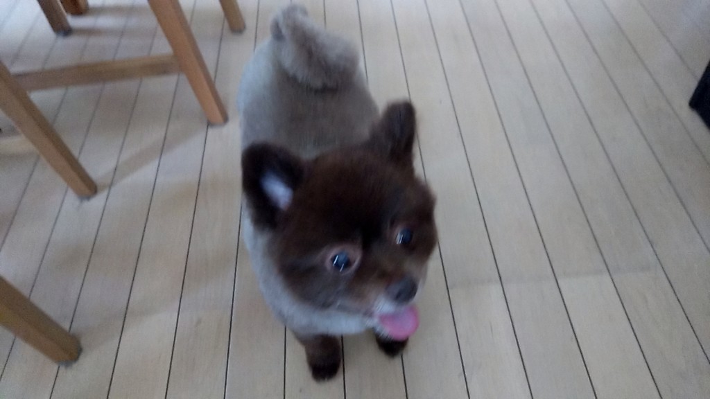 ユーザー写真