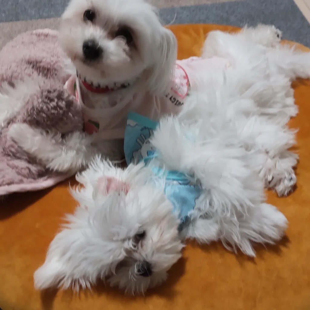ユーザー写真