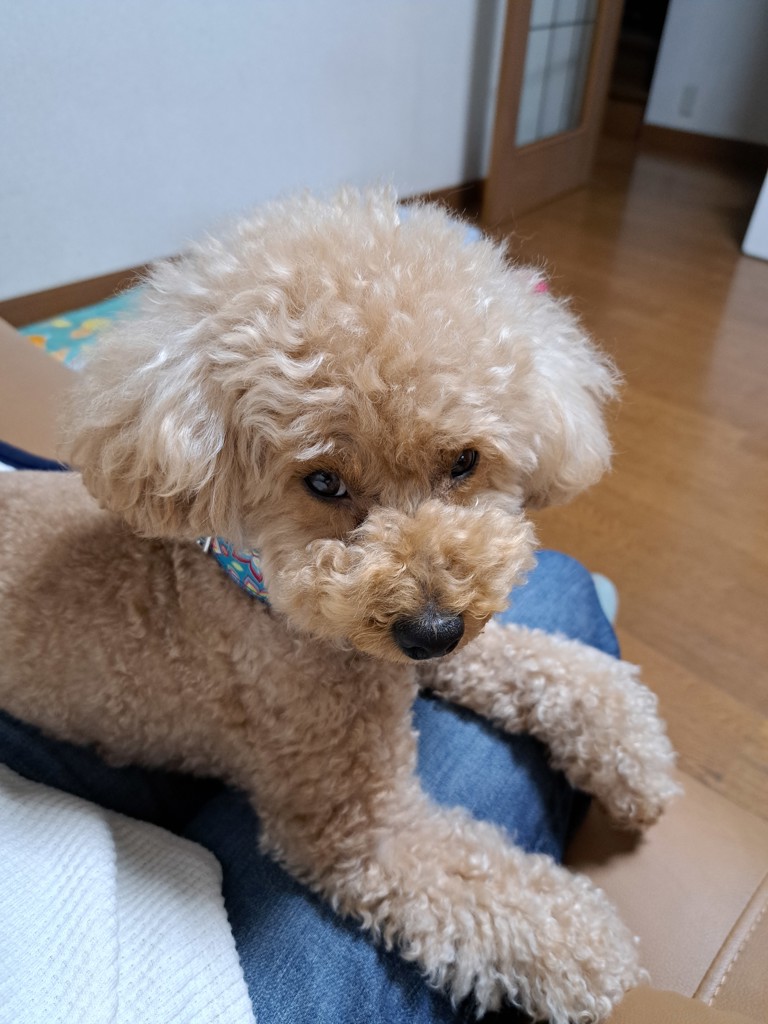 投稿写真
