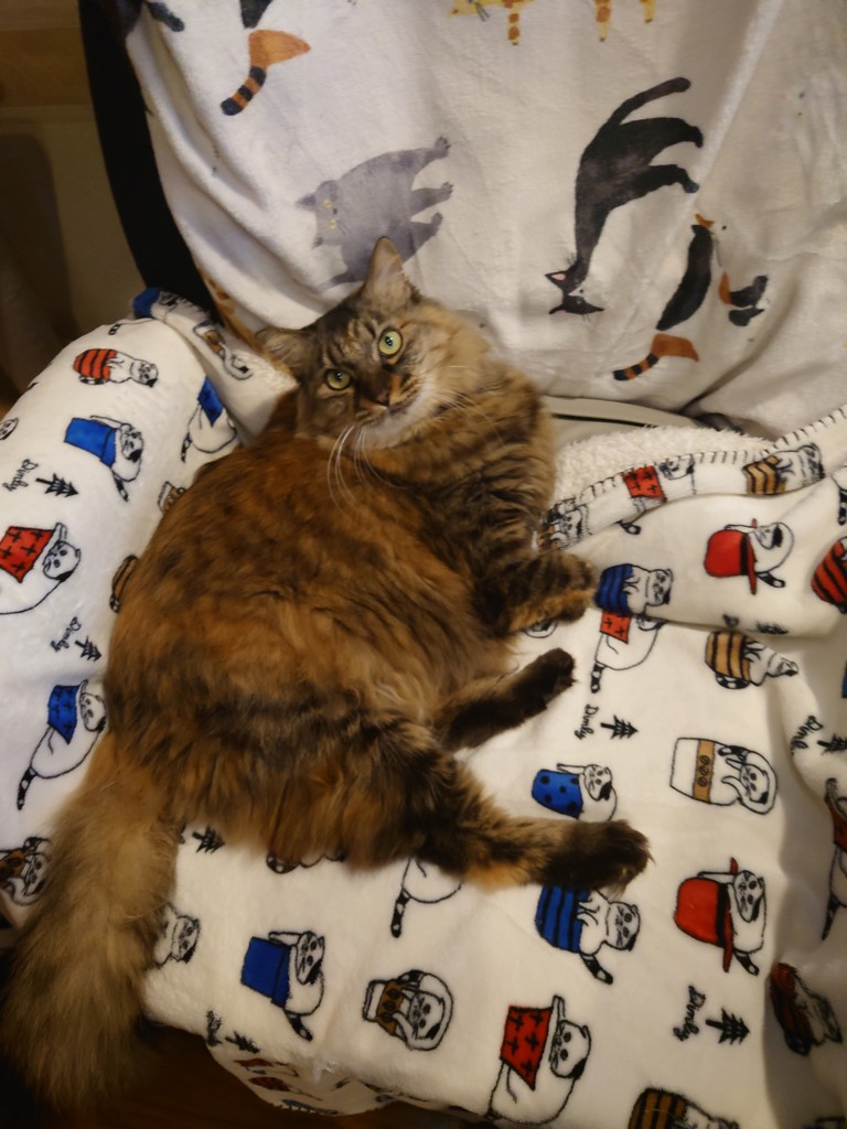 ユーザー写真