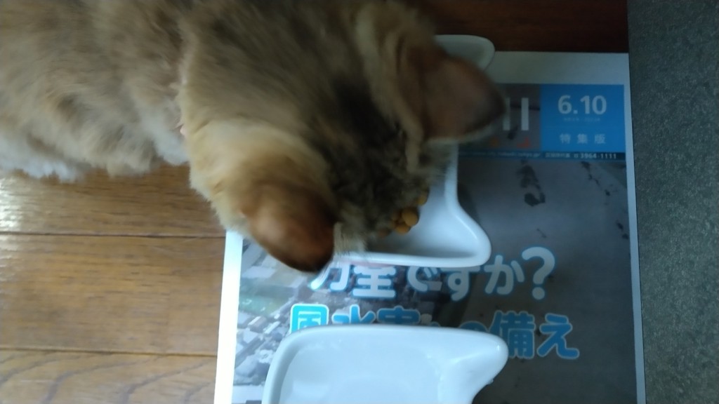 ユーザー写真