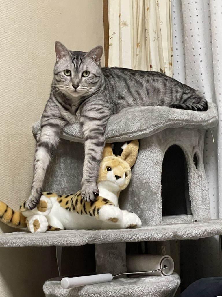 ユーザー写真