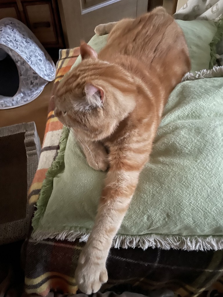 ユーザー写真
