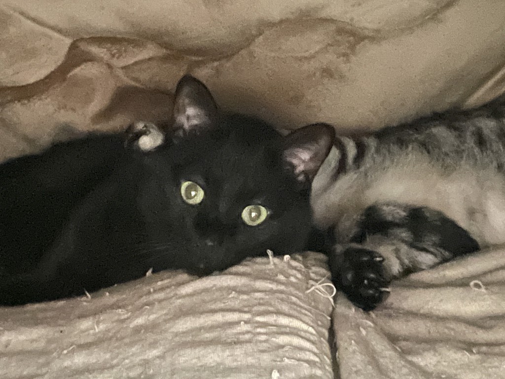 ユーザー写真