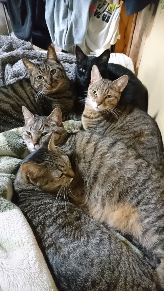 ユーザー写真