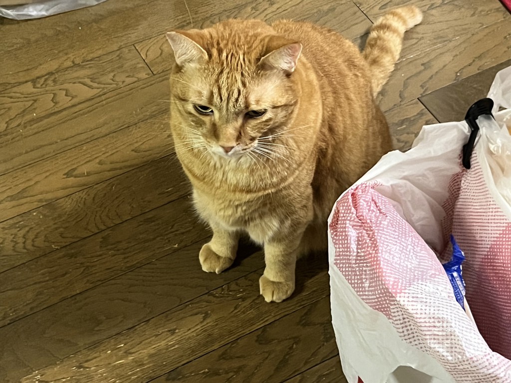 ユーザー写真