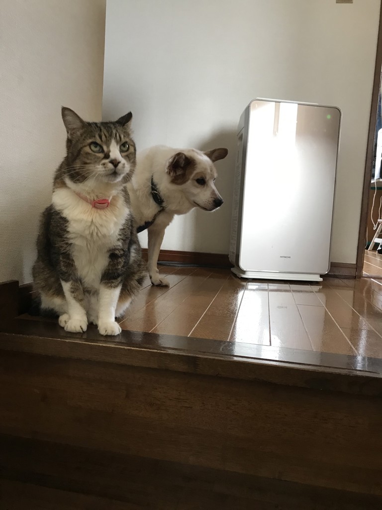 ユーザー写真