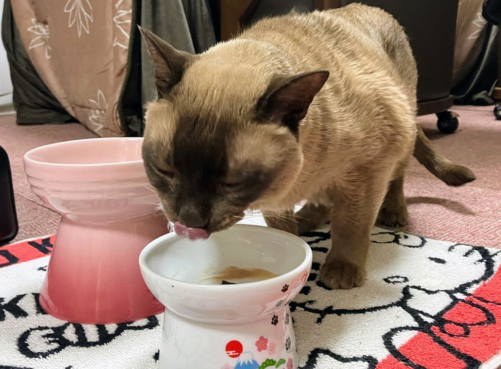 ユーザー写真