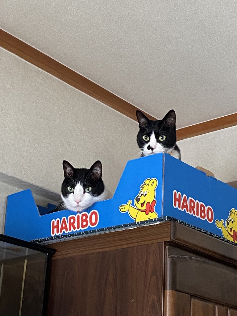 ユーザー写真