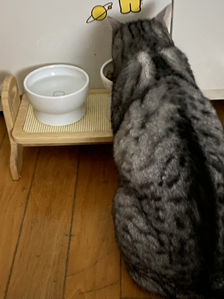 ユーザー写真