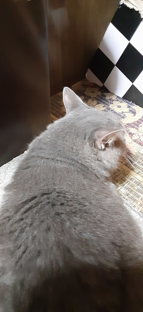 ユーザー写真