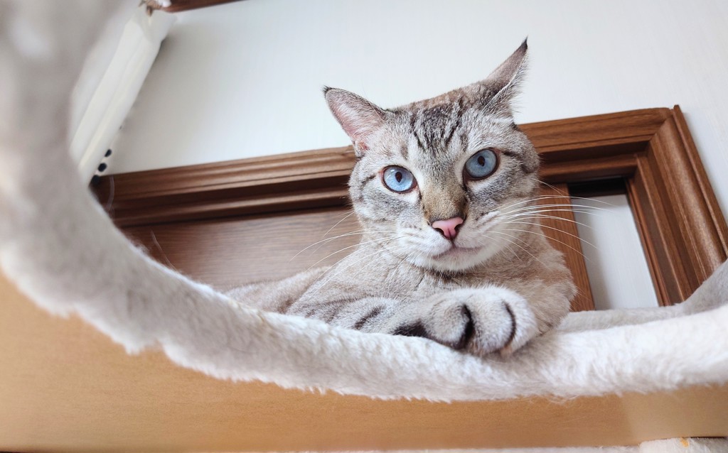 ユーザー写真