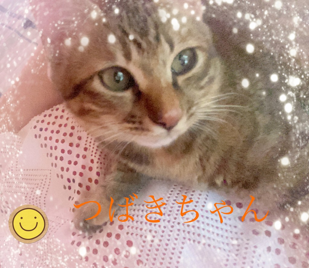 ユーザー写真