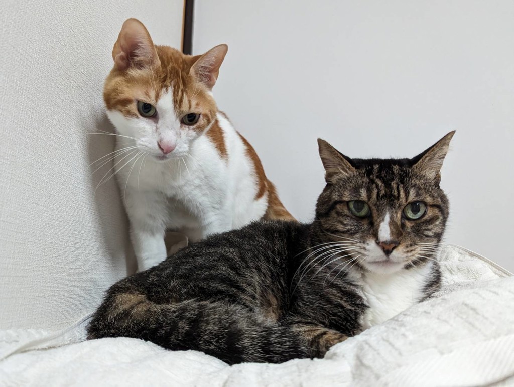 ユーザー写真