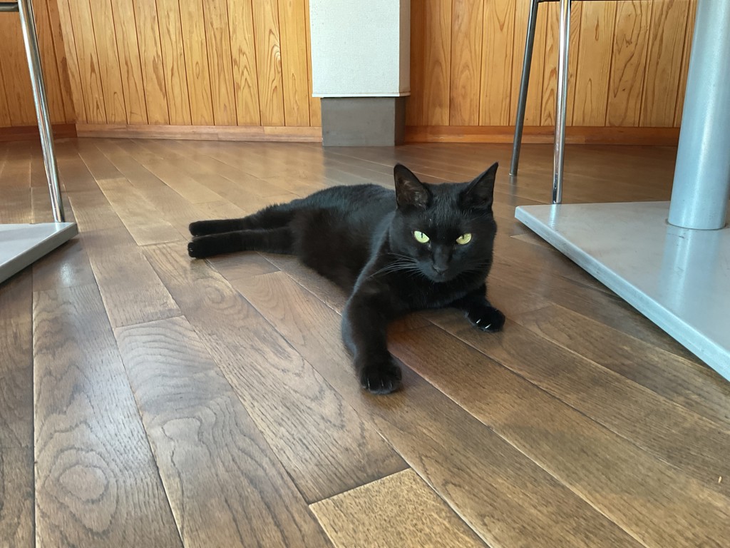 ユーザー写真
