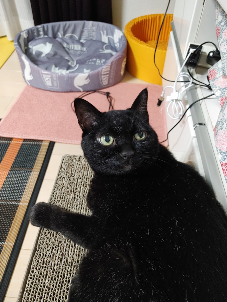 ユーザー写真