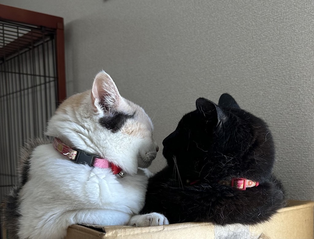 ユーザー写真