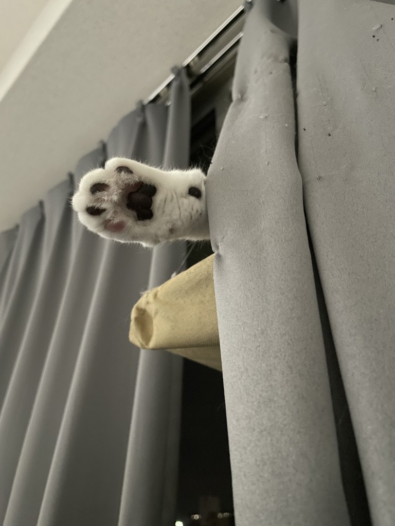 ユーザー写真