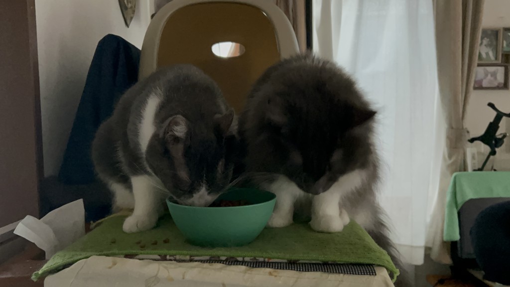 ユーザー写真