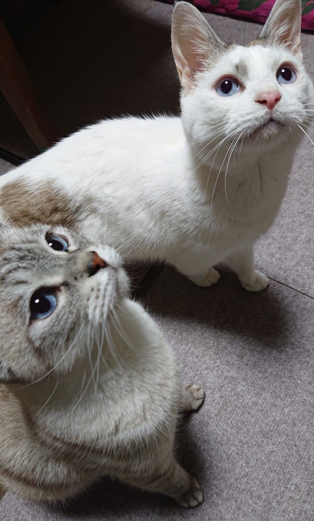 ユーザー写真