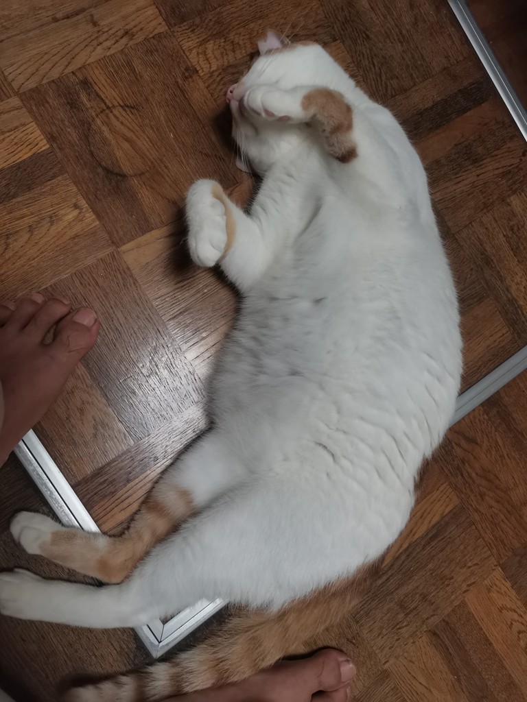 ユーザー写真