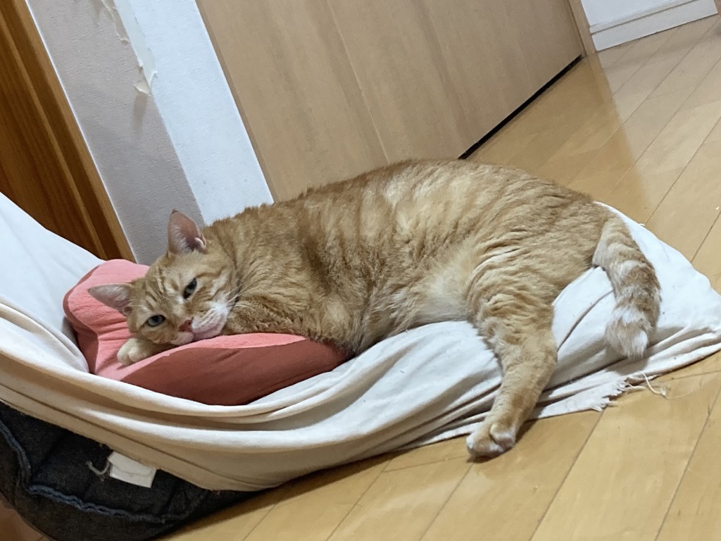 ユーザー写真