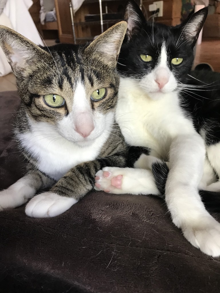 ユーザー写真