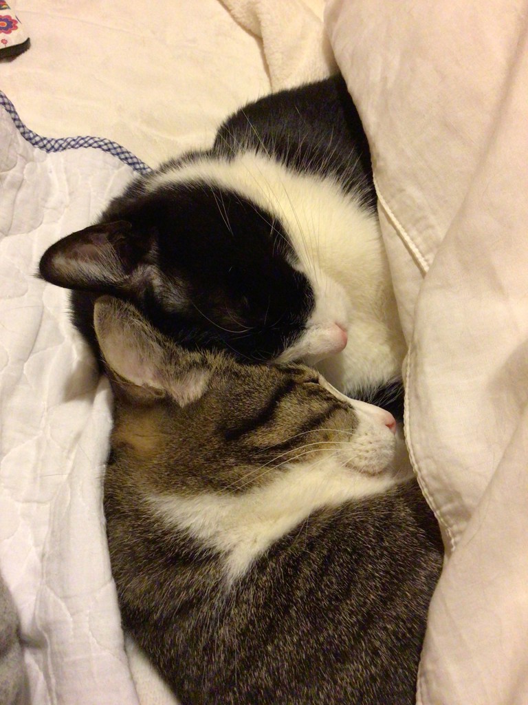ユーザー写真