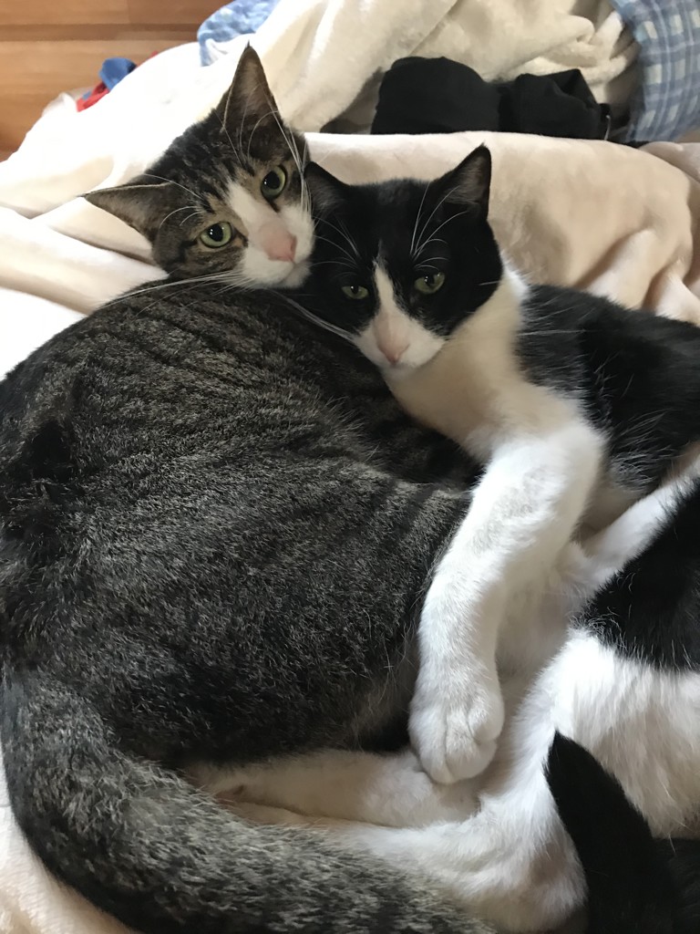 ユーザー写真