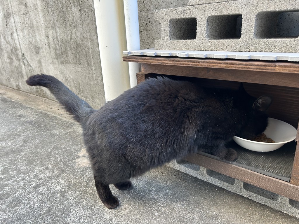 ユーザー写真