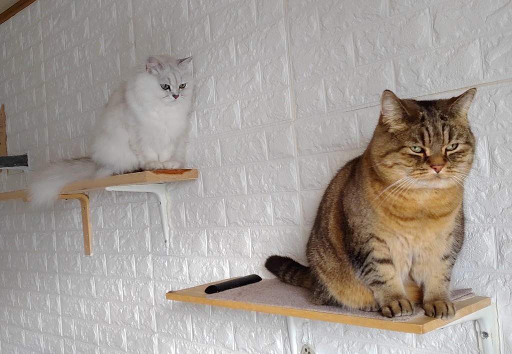 ユーザー写真