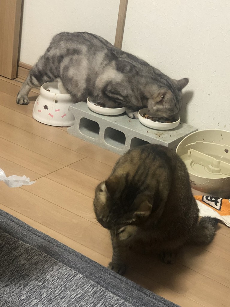 ユーザー写真