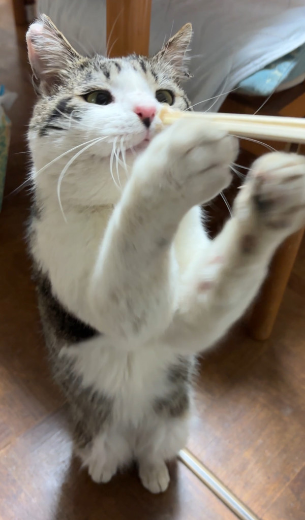 投稿写真