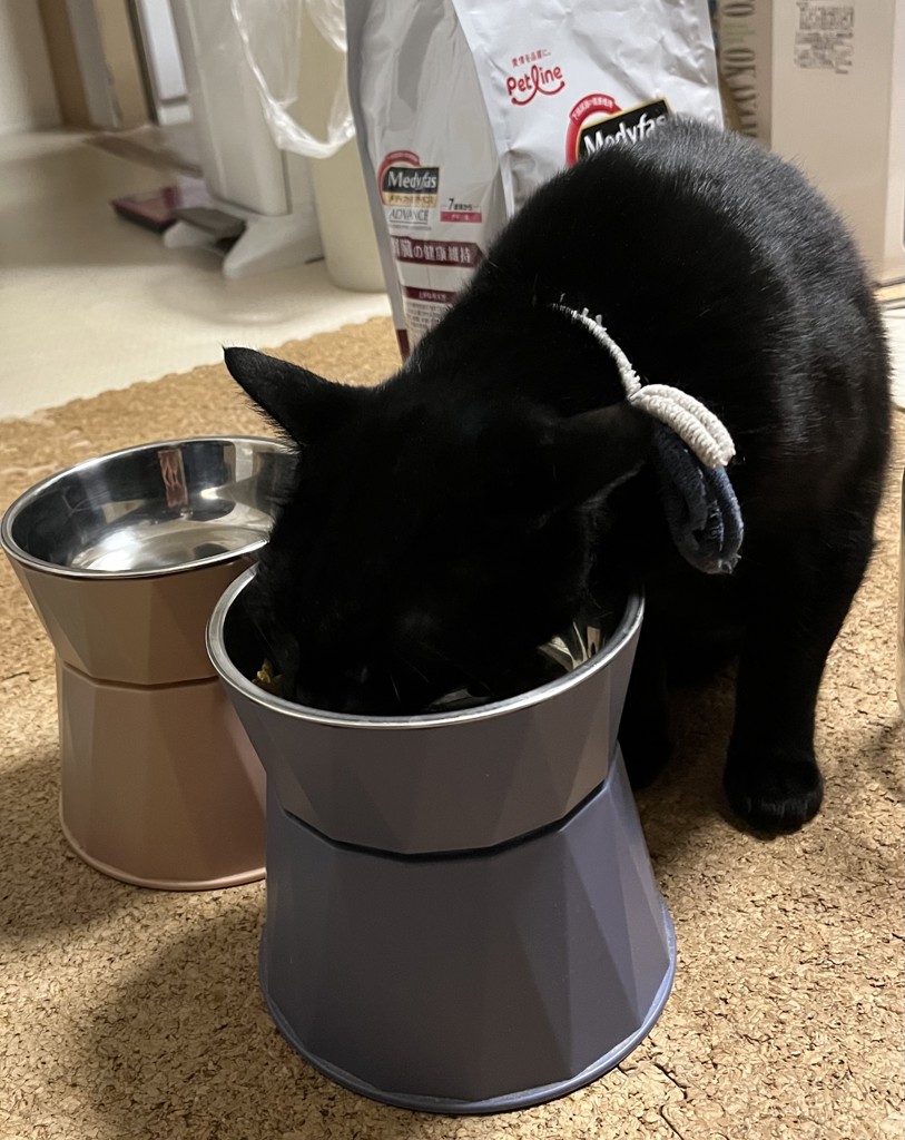 投稿写真