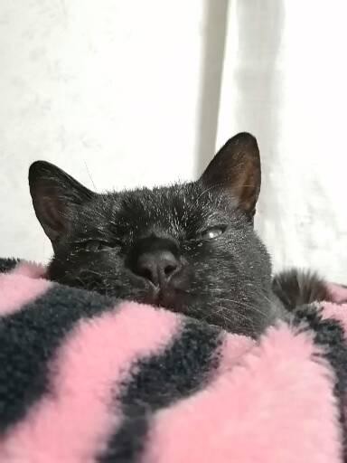 投稿写真