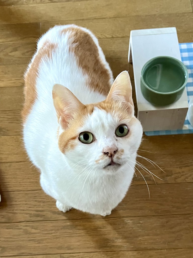 投稿写真