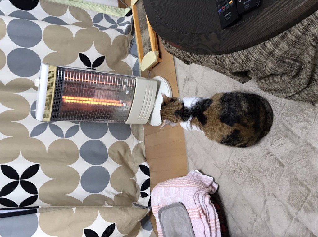 ユーザー写真