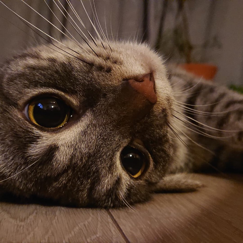 ユーザー写真