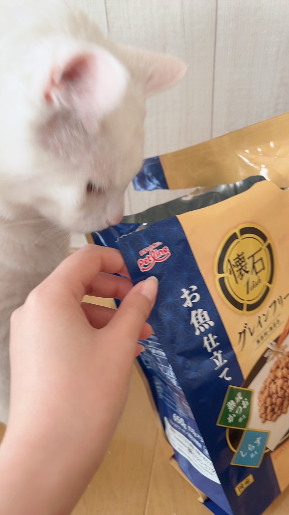 ユーザー写真