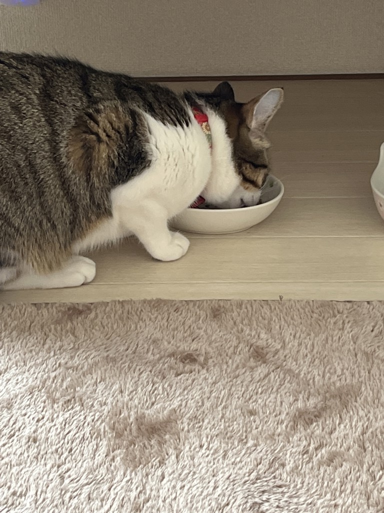 ユーザー写真
