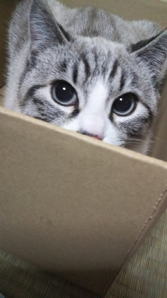 ユーザー写真