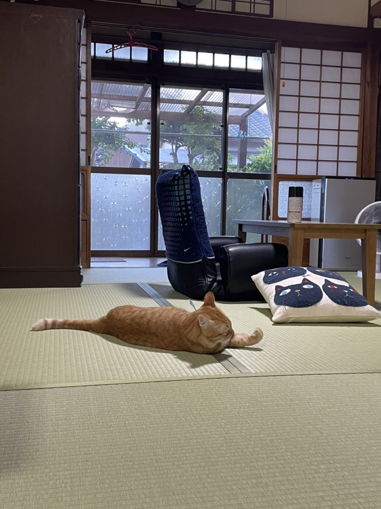 ユーザー写真