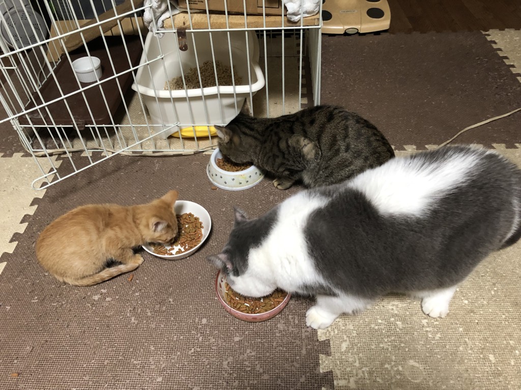 ユーザー写真