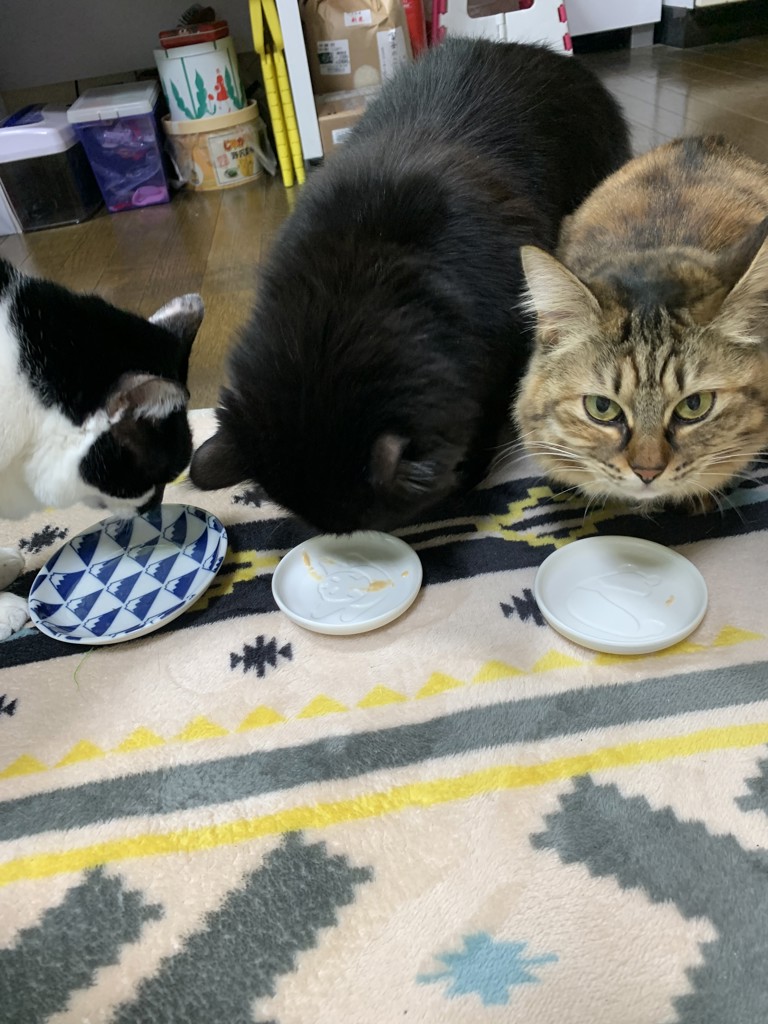 ユーザー写真