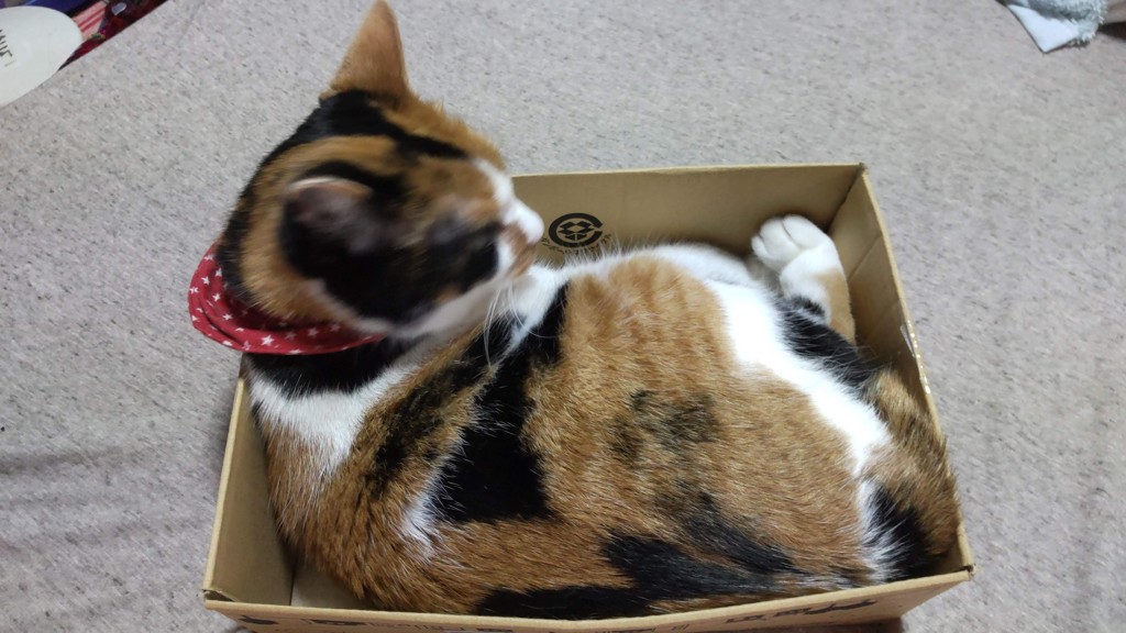 ユーザー写真