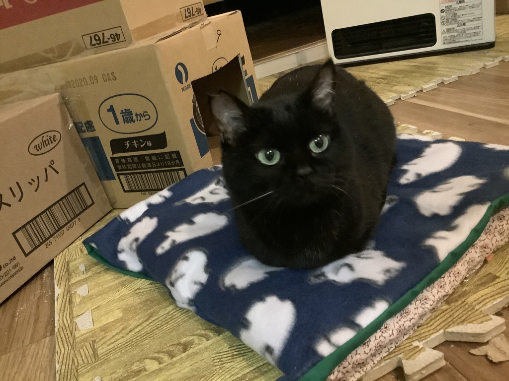 ユーザー写真