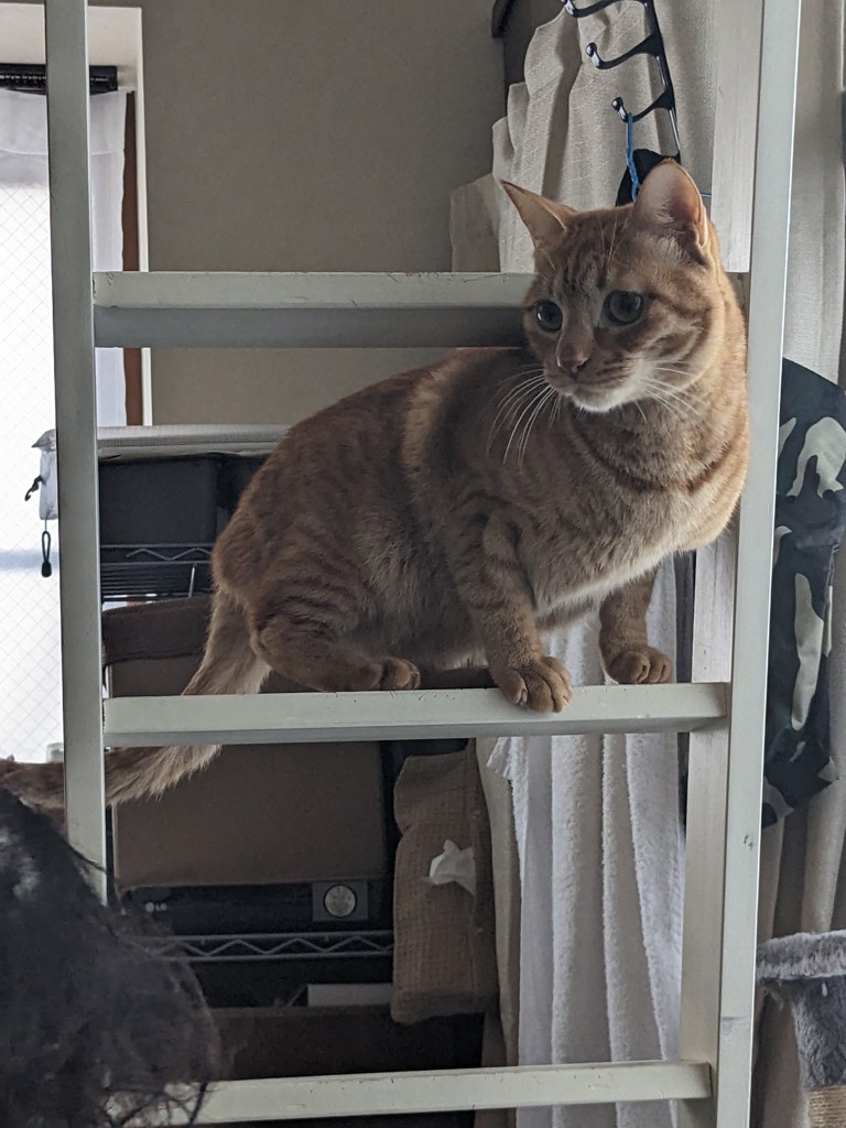 ユーザー写真