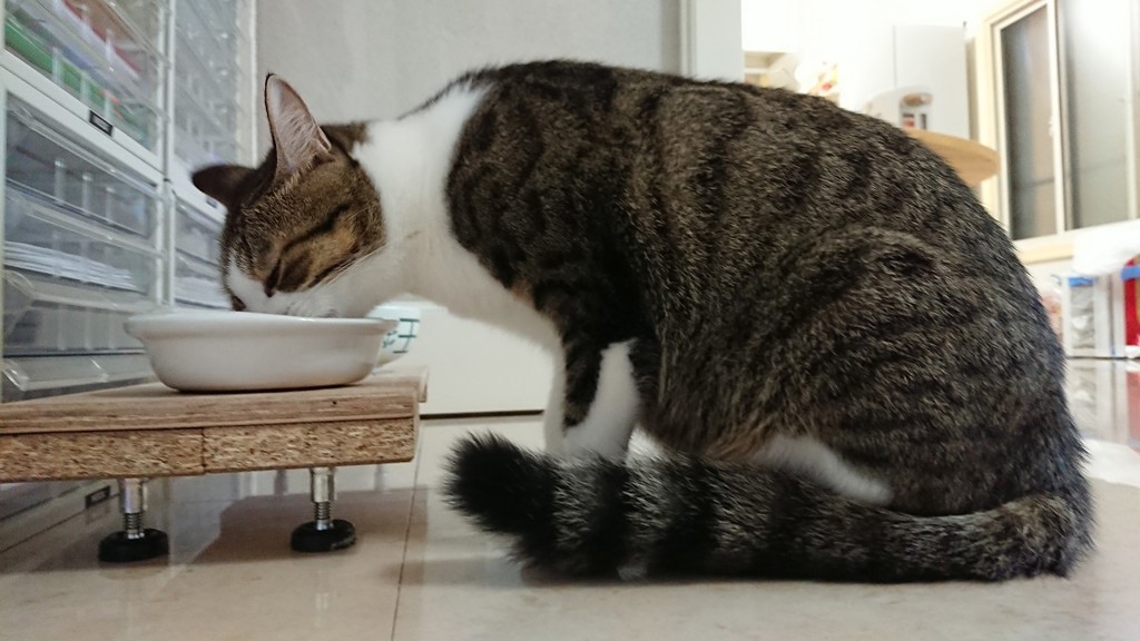 ユーザー写真