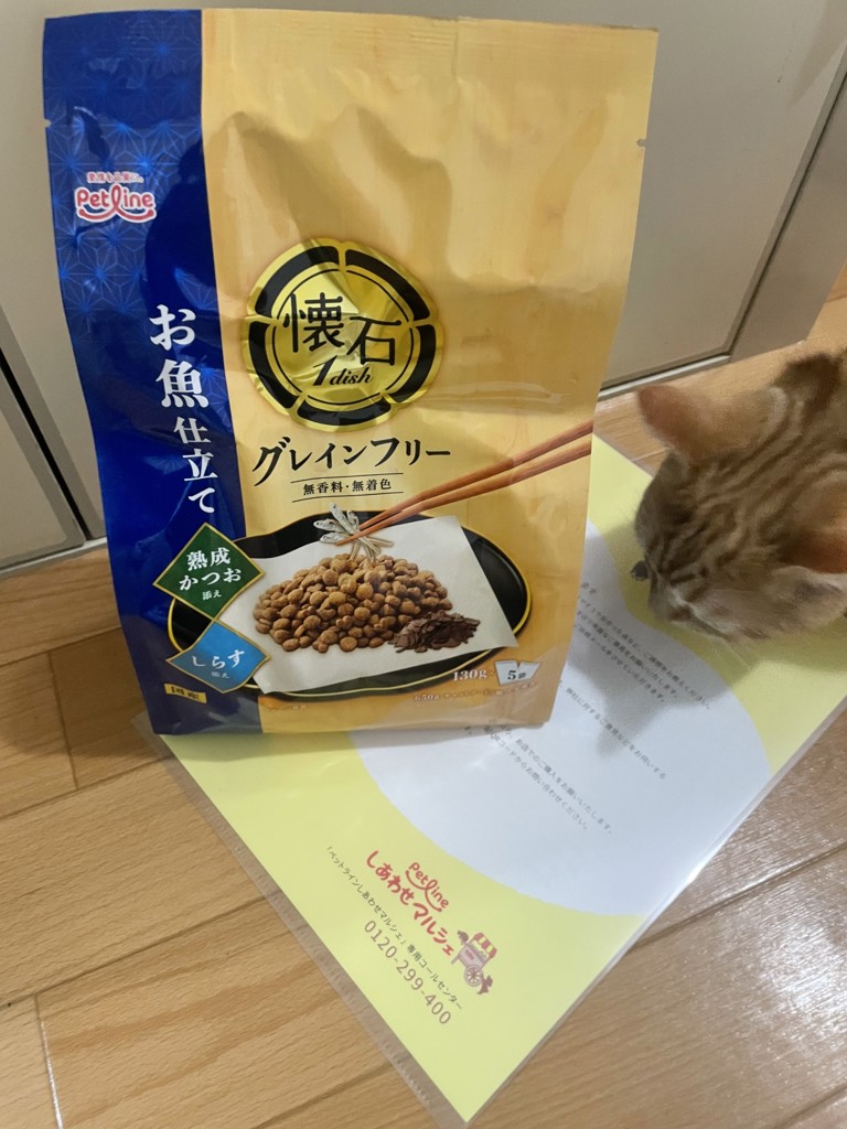 ユーザー写真